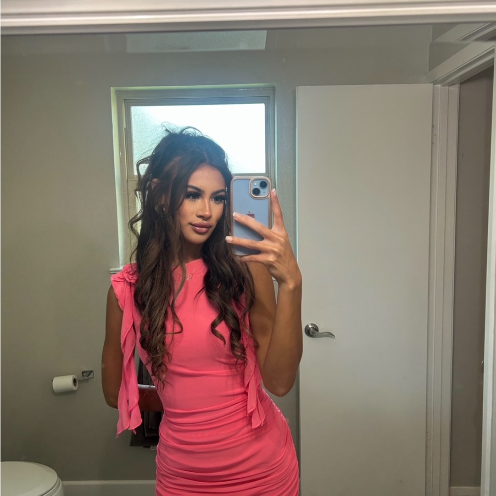Pink Mesh Dress